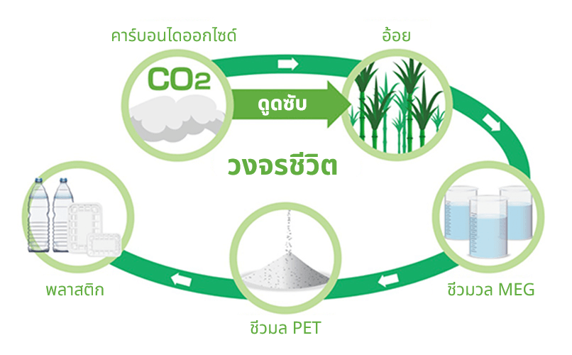 เม็ดพลาสติก PET ชีวมวล